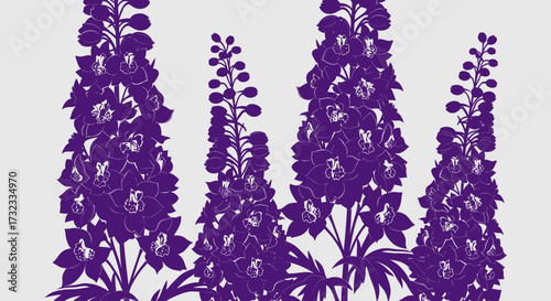 Tall purple flower stalks against a white background