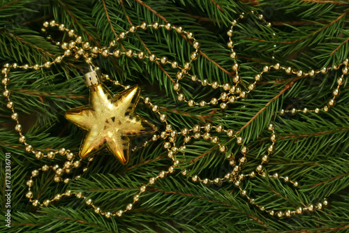 A golden star and gold beads Christmas tree decoration lie on the branches of a fir tree. Christmas background.