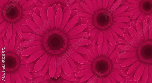 Vivid crimson gerbera floral pattern, densely packed, petal details