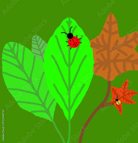 Two different ladybugs on the leaves.