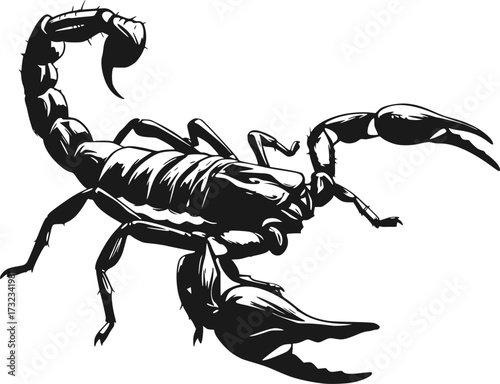 silhouette vector of scorpion in illustration in brush stroke painting isolated on white background svg png