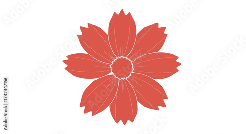 Isolated coral flower with white outlines