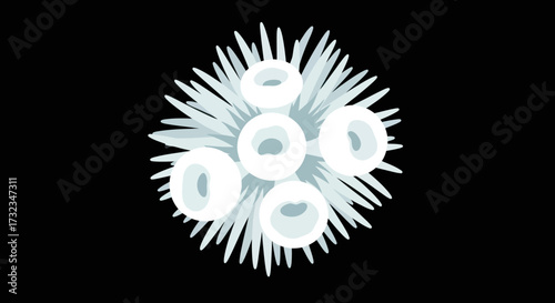 Stylized sea anemone with soft blue color, symmetrical design