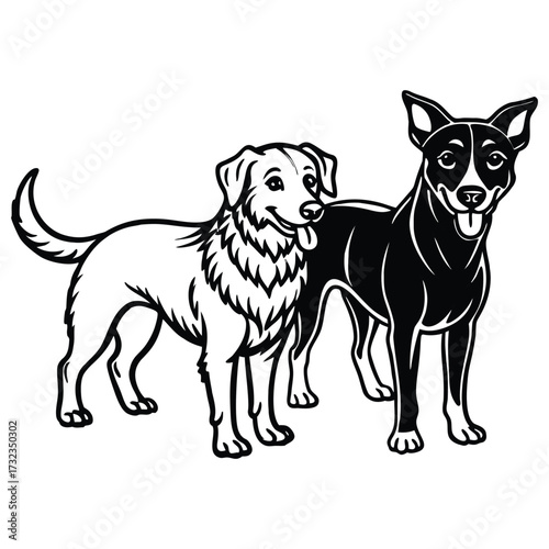 Stray and domestic dog bonding