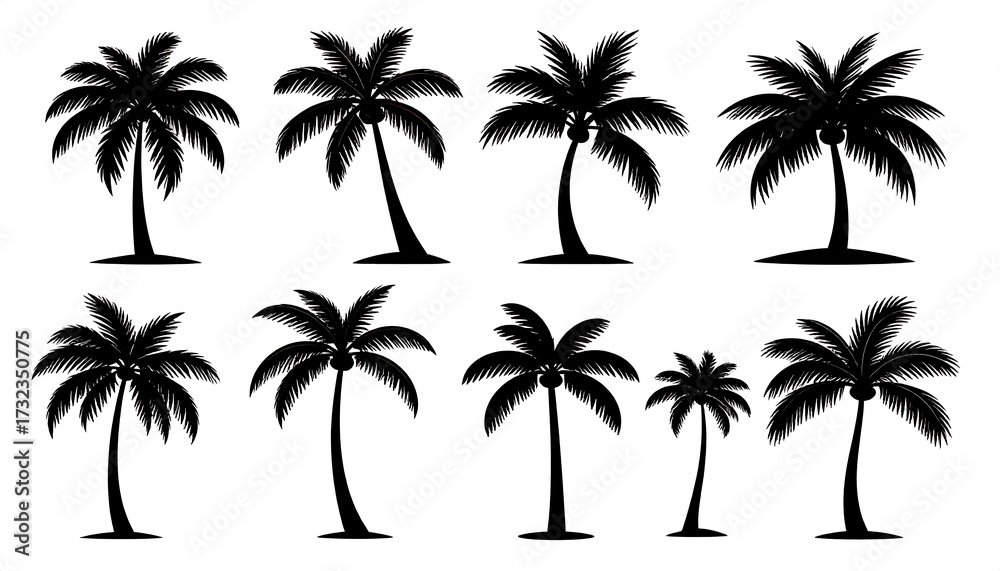 Fototapeta premium Silhouette palm trees