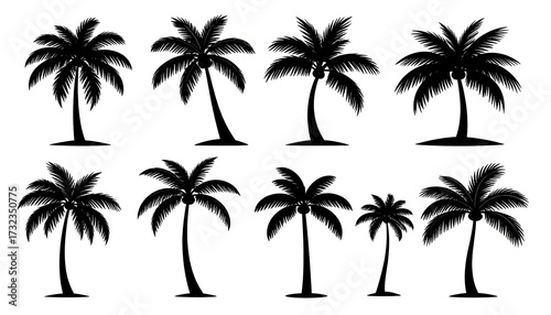 Silhouette palm trees