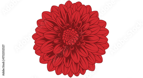 Stylized, red flower with multiple layers of petals on white