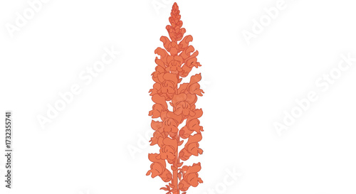 Orange, illustrated flower stalk