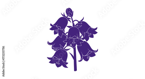Purple bellflower silhouette on white
