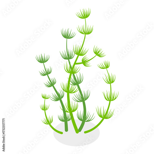 3D Isometric Flat Vector Set of Seaweeds, Marine Algae Collection. A set of various types of seaweed gathered from the ocean, perfect for showcasing the beauty of underwater flora.. Item 11