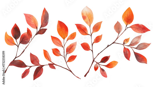 A collection of autumn leaves in shades of red and orange arranged artistically. the beauty of fall foliage against a clean white background. perfect for seasonal decor or nature-themed projects