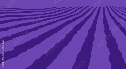 Purple field with lines