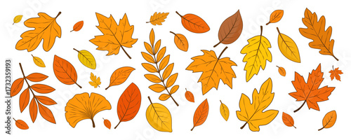 Autumn set of leaves of different shapes and colors on a white background. A collection of colorful autumn leaves from different trees. Vector EPS 10.