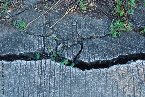 Fototapeta Naklejka Na Ścianę i Meble -  Close up of cracked concrete pavement with deep gaps and small green plants growing through the fissures