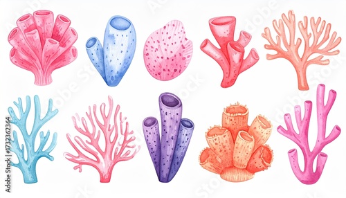 Fototapeta Naklejka Na Ścianę i Meble -  Watercolor coral reef set for underwater background, marine life for decoration