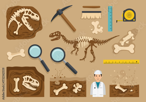 Flat design illustration of paleontology tools dinosaur skeletons and excavation sites
