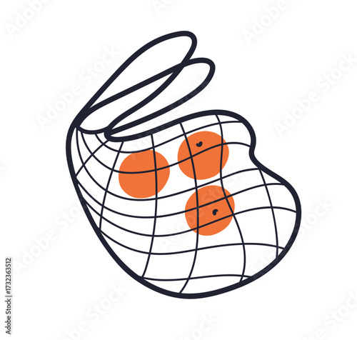 Mesh string bag with fruits. Eco-friendly reusable shopping net. Fresh orange tangerines, healthy natural citrus snack, purchase from market. Flat vector illustration isolated on white background.