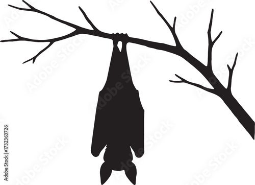 Hanging Bat Silhouette on Bare Branch