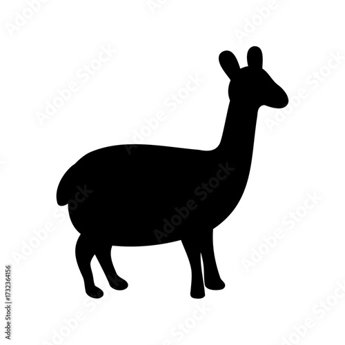Silhouette of a Llama Against a White Background, Side View, Peaceful