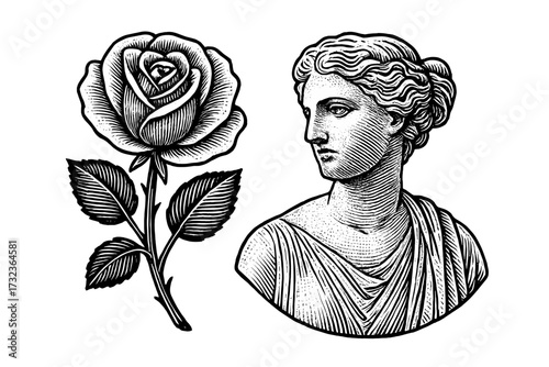 Vintage engraving of Greek goddess bust and rose flower. Antique classic sculpture of woman. Mythology, love, beauty concept. Valentine's Day romance retro vector illustration.