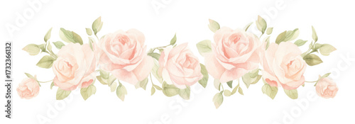 PNG Roses symmetric watercolour illustration pattern flower plant.