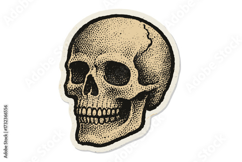 Skull halftone mixed media collage paper sticker. Dotted vintage illustration in 90s zine paper piece style. Human skeleton head for Halloween. Creepy anatomy horror design.