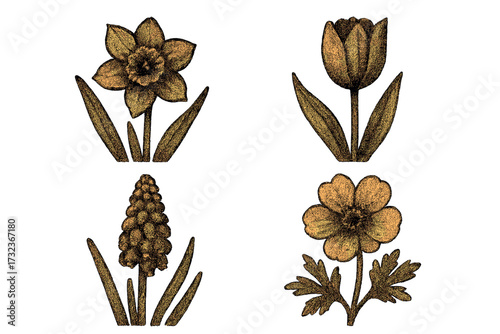 Retro dotted halftone style spring flowers set, vintage herbarium effect with grain texture, trendy vector wildflowers illustration, cartoon floral design collection