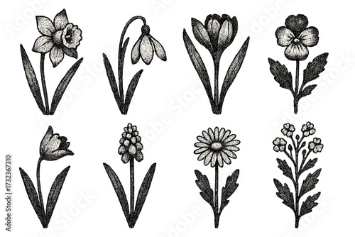 Retro dotted halftone style spring flowers set, vintage herbarium wildflowers, grain texture effect, trendy vector illustration, detailed botanical clipart collection