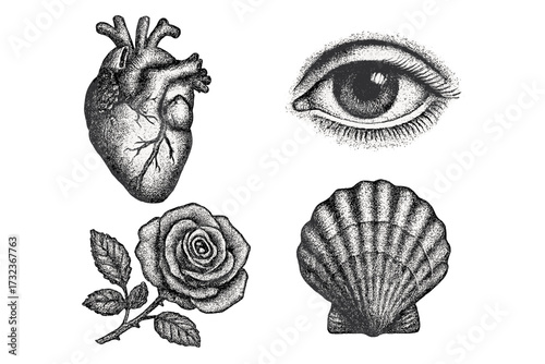 Vector set of hand-drawn stippling illustrations. Anatomical heart, all-seeing eye, rose, and seashell. Vintage engraving dotwork style with retro photocopy grunge texture effect.
