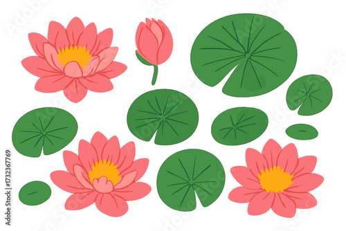 Water lily and lotus flower set isolated. Collection of Japanese or Chinese aquatic plants, pink blossoms, buds and lily pads. Top view botanical vector flat hand drawn illustration.