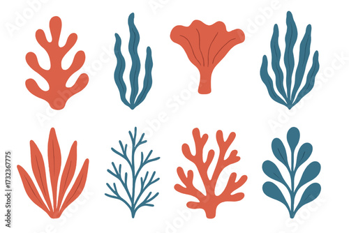 Set of hand drawn corals and seaweed. Botanical vector illustration of underwater flora. Marine plants clipart collection. Vintage red and blue flat design seaweeds for design.