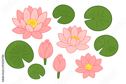 Water lily and lotus flower vector illustration set. Hand drawn collection of pink flowers, buds, and lily pads from a top view. Asian floral elements for spa and zen design.