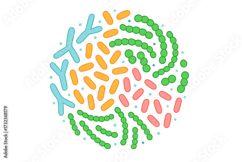 Microbiome round concept with probiotics. Bifidobacterium, lactobacillus, streptococcus. Gut flora bacteria for healthy digestion. Prebiotic microorganism vector illustration.
