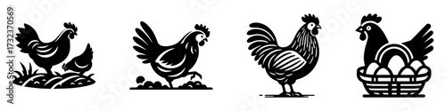 Modern Minimalist Chicken Icon, Flat Silhouette of a Hen Foraging with Chicks Vector for Poultry Illustration Design