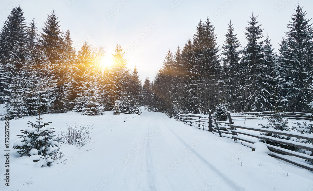 Obraz premium Snowy road through a majestic winter forest.