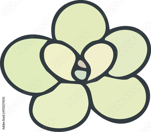 Handdrawn pastel succulent flower icon isolated on white.