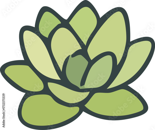 Simple Green Succulent Plant Vector Illustration.