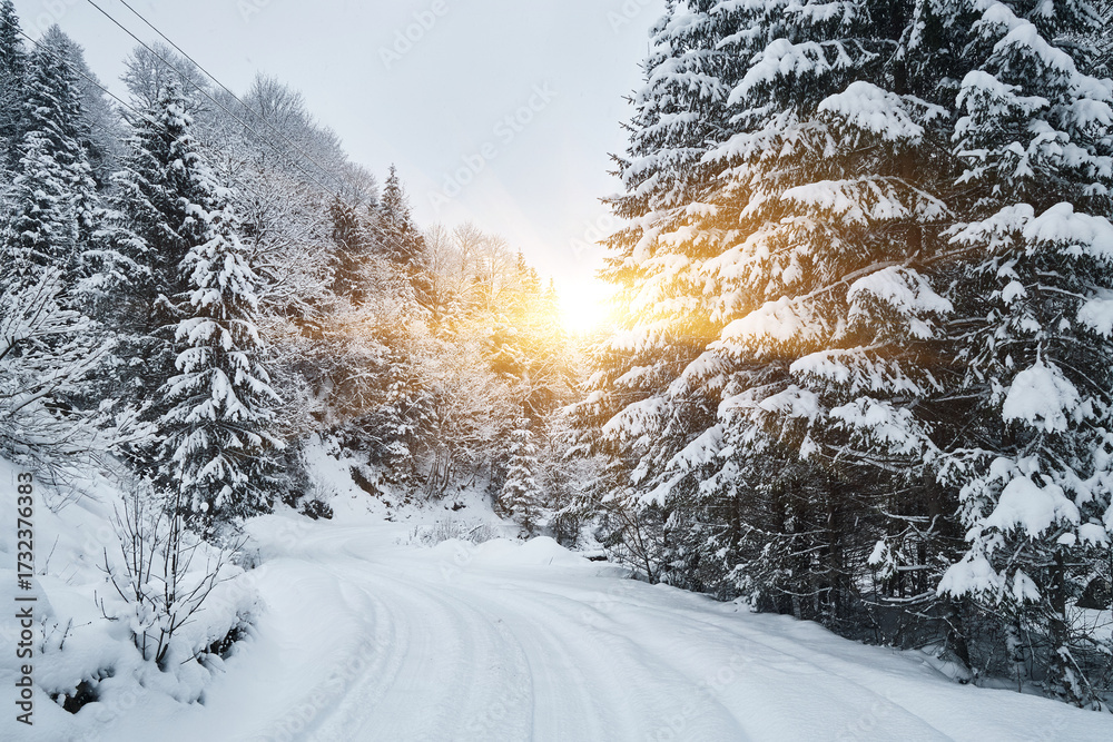 Fototapeta premium Winter wonderland scene with a frosty forest path.