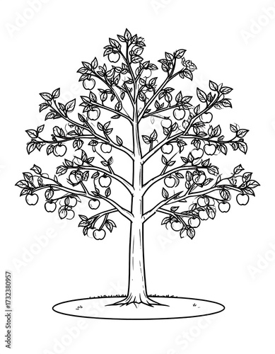 Simple black and white apple tree drawing