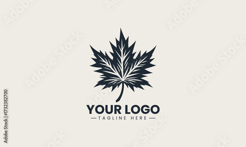 Prominent black vector silhouette of a detailed maple leaf showcasing autumn nature and national symbolism