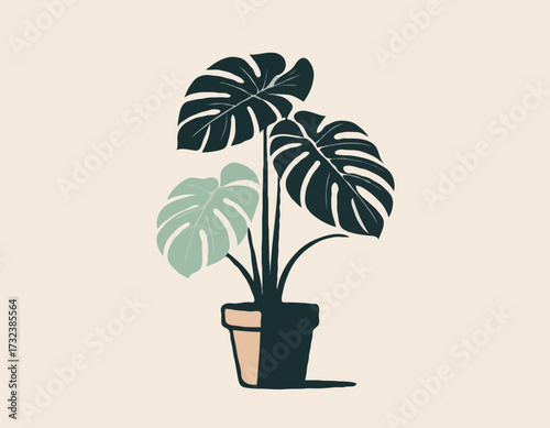 houseplant monstera deliciosa in a pot silhouette