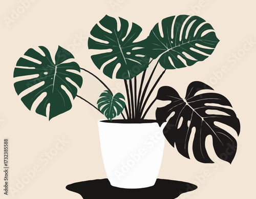 houseplant monstera deliciosa in a pot silhouette