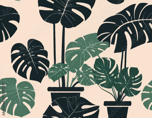houseplant monstera deliciosa in a pot silhouette