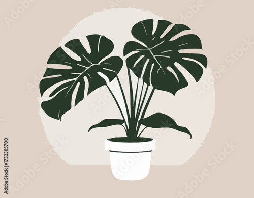 houseplant monstera deliciosa in a pot silhouette