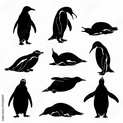 Collection of penguin vector illustrations silhouette set scalable graphic silhouette white background