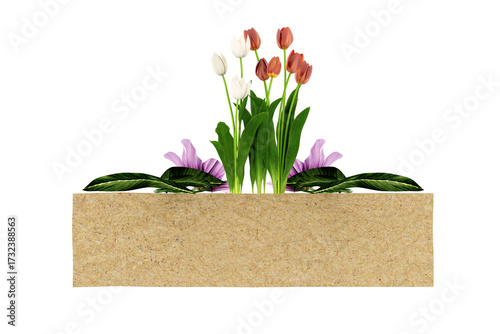 flowers ornament, tulips and text sheet for celebration, greeting 