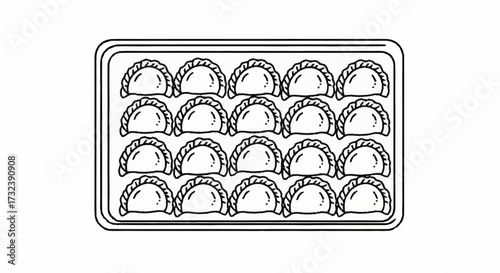 Fresh dumplings arranged neatly in a clear tray ready for cooking or serving, a delicious food concept.
