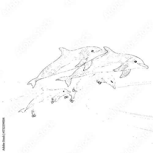 Sketch of a pod of dolphins swimming together in the ocean with some bubbles and light rays around them
