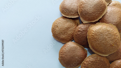 CLOSE UP WHOLE SEEDS OF SUCUPIRA TREE (Pterodon emarginatus)