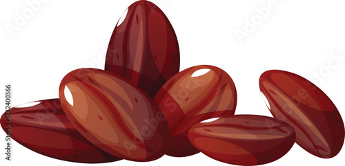 vector illustration of cocoa seeds